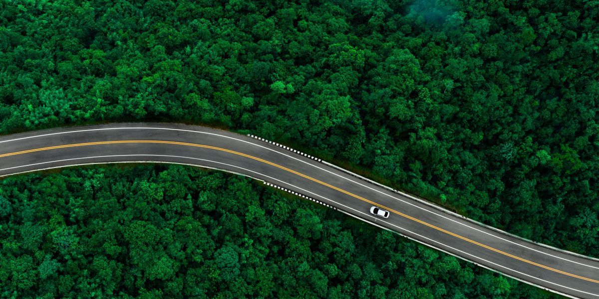 Forest car