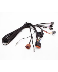 eFlexPro Harness Delphi