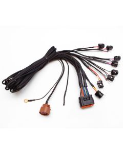 eFlexPro Harness DualJet