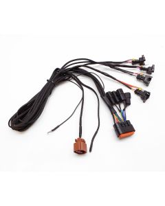 eFlexPro Harness EV-1