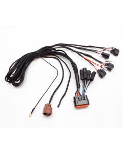 eFlexPro Harness EV-6