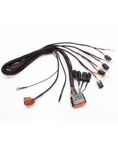 eFlexPro Harness MLK