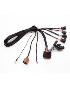 eFlexPro Harness Nippon