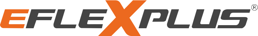 eFlexPlus logo