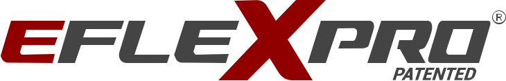 eFlexPro logo