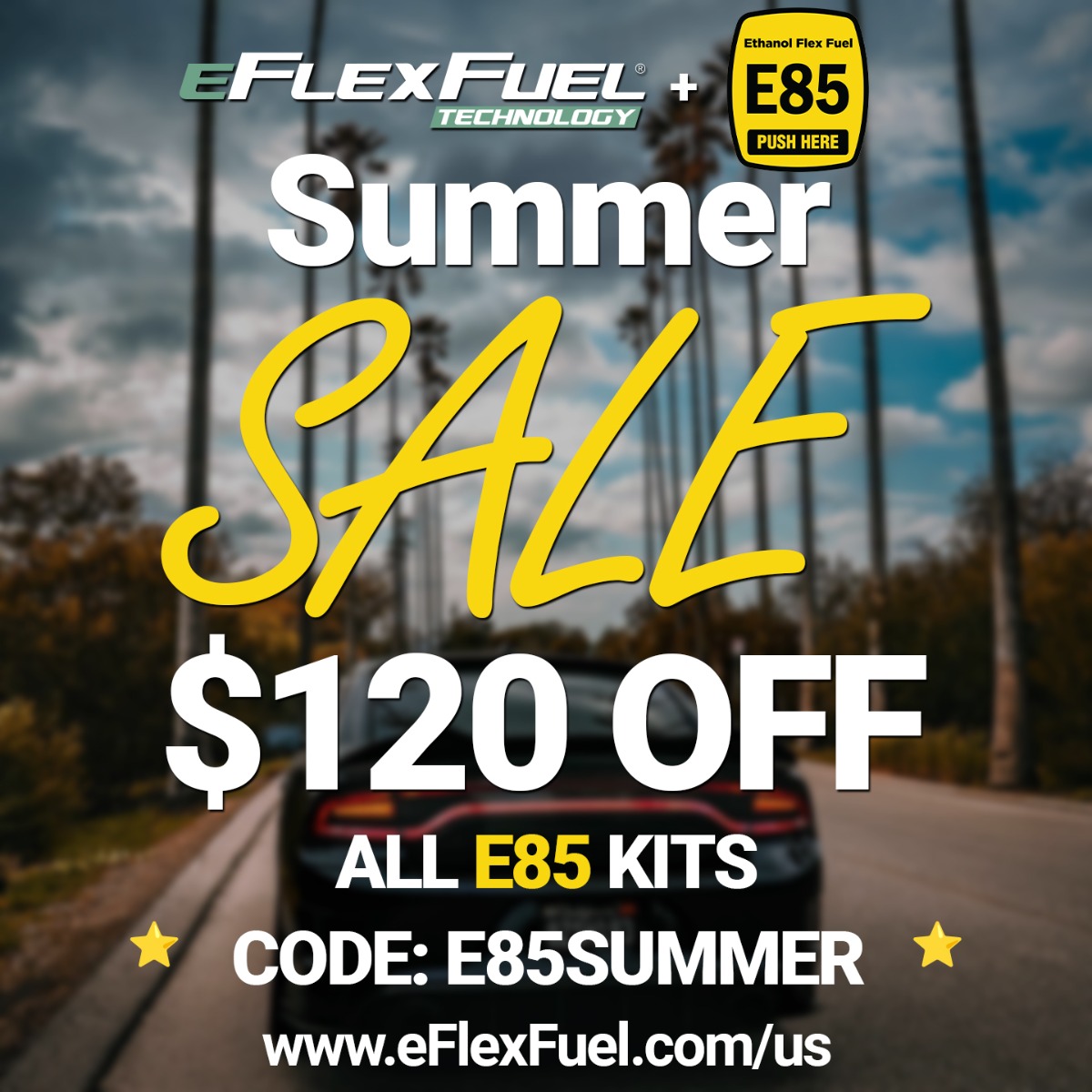 2008-2013 C6 Corvette LS3 E85 Gas Systems Flex-Fuel Conversion Kit