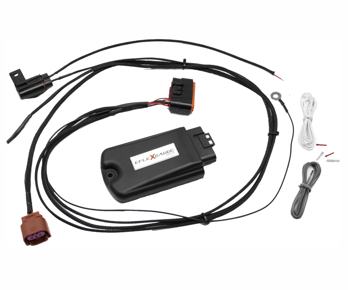 eFlexGauge Core what it includes